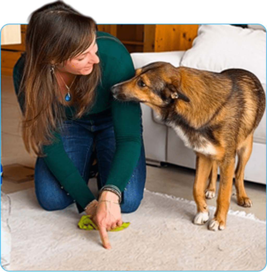 Furry Freshness Pet Stain & Strong Odor Eliminator