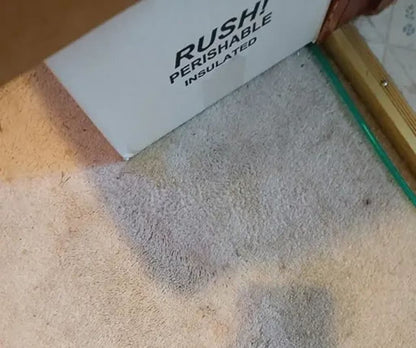 Furry Freshness Pet Stain & Strong Odor Eliminator