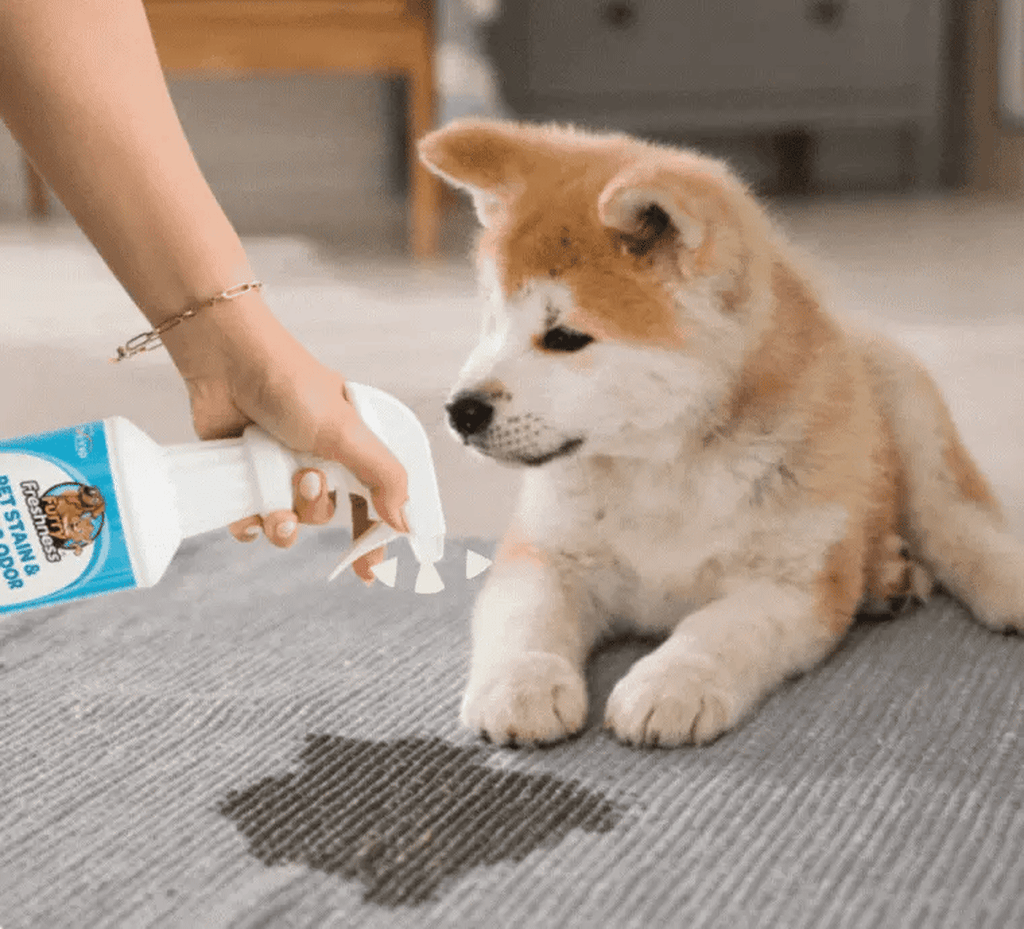 Furry Freshness Pet Stain & Strong Odor Eliminator