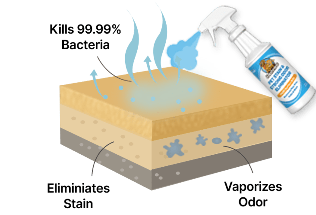 Furry Freshness Pet Stain & Strong Odor Eliminator