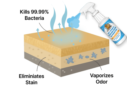 Furry Freshness Pet Stain & Strong Odor Eliminator