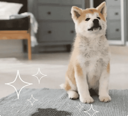 Furry Freshness Pet Stain & Odor Eliminator