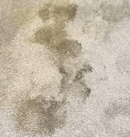 Furry Freshness Pet Stain & Strong Odor Eliminator