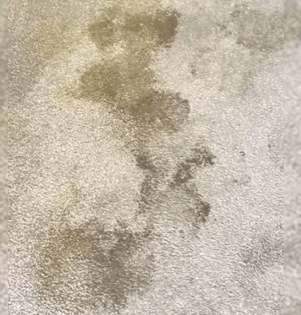 Furry Freshness Pet Stain & Odor Eliminator